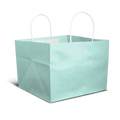 Cake Bag for 1kg - 8x8x8" - Mint