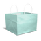 Cake Bag for 1kg - 8x8x8" - Mint